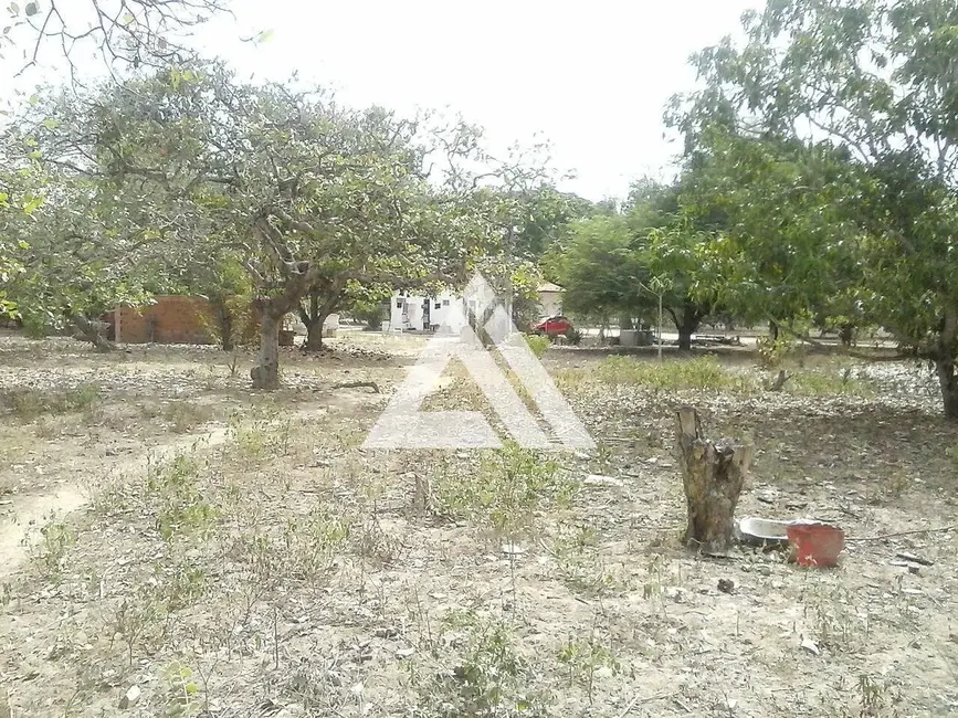 Terreno / Lote à venda, 10000m2 em Feira De Santana - BA - imagem 3 Foto 3 de Terreno / Lote à venda, 10000m2 em Feira De Santana - BA