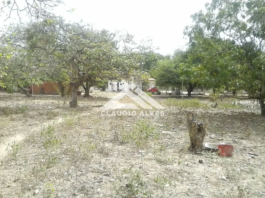 Terreno / Lote à venda, 10000m2 em Feira De Santana - BA - imagem 3 Foto 3 de Terreno / Lote à venda, 10000m2 em Feira De Santana - BA