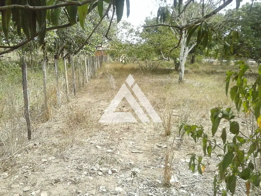 Terreno / Lote à venda, 10000m2 em Feira De Santana - BA - imagem 4 Foto 4 de Terreno / Lote à venda, 10000m2 em Feira De Santana - BA