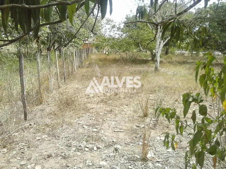 Foto 4 de Terreno / Lote à venda, 10000m2 em Feira De Santana - BA