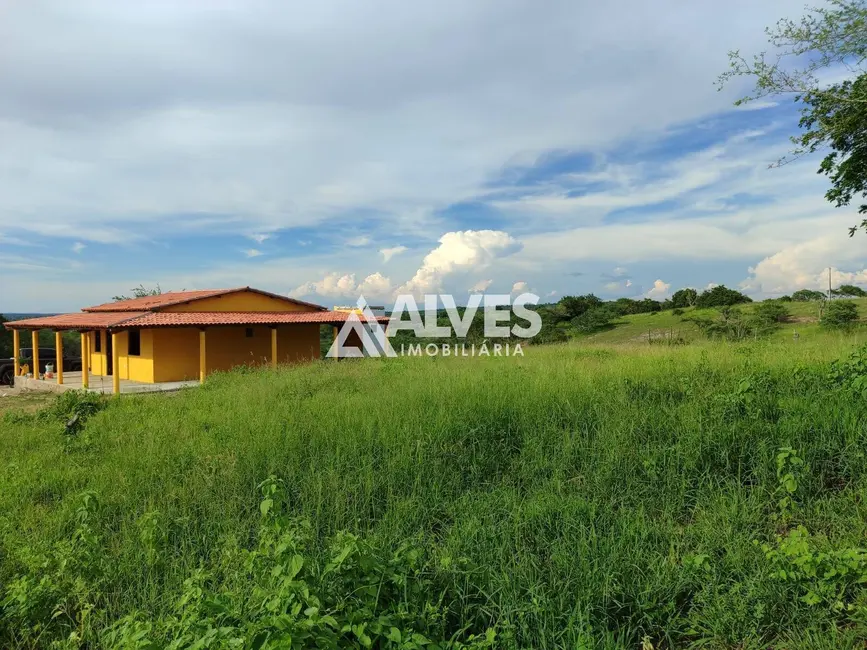 Chácara com 2 quartos à venda, 21780m2 em Santa Barbara - BA - imagem 3 Foto 3 de Chácara com 2 quartos à venda, 21780m2 em Santa Barbara - BA