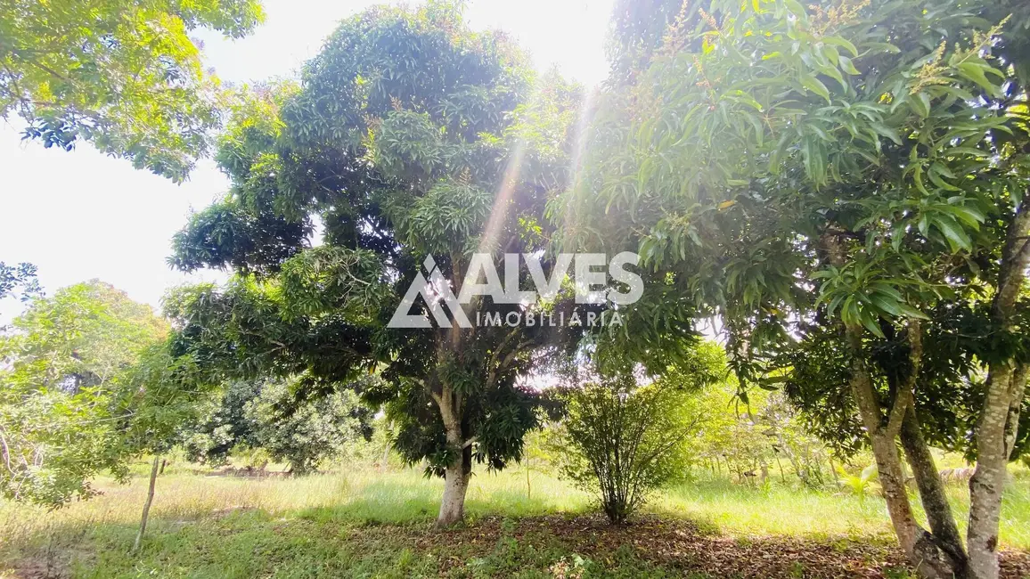 Chácara com 2 quartos à venda, 2178m2 em Feira De Santana - BA - imagem 9 Foto 9 de Chácara com 2 quartos à venda, 2178m2 em Feira De Santana - BA