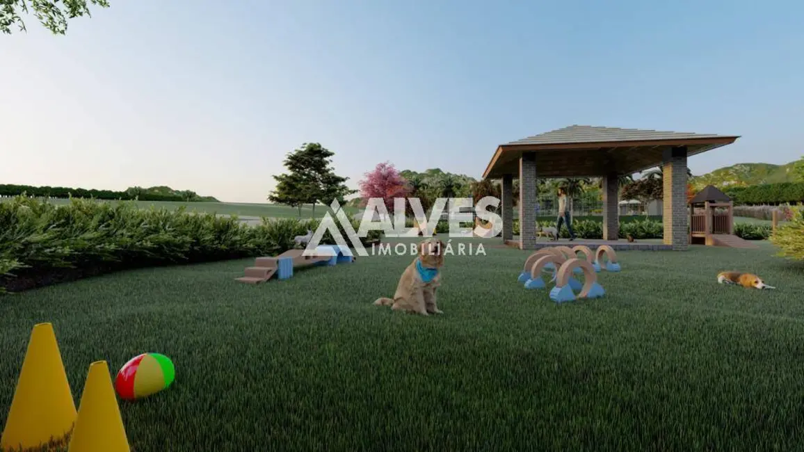 Terreno / Lote à venda, 1000m2 em Sao Goncalo Dos Campos - BA - imagem 4 Foto 4 de Terreno / Lote à venda, 1000m2 em Sao Goncalo Dos Campos - BA