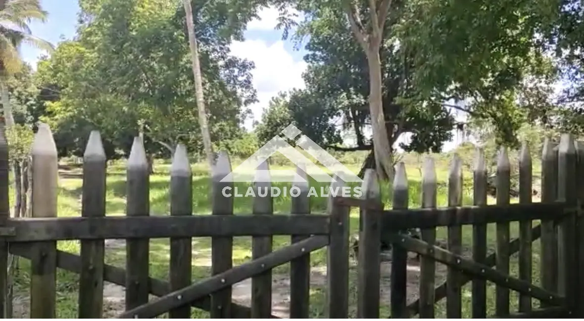 Foto 6 de Chácara com 3 quartos à venda, 352800m2 em Amelia Rodrigues - BA