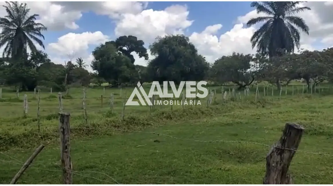 Foto 7 de Chácara com 3 quartos à venda, 352800m2 em Amelia Rodrigues - BA