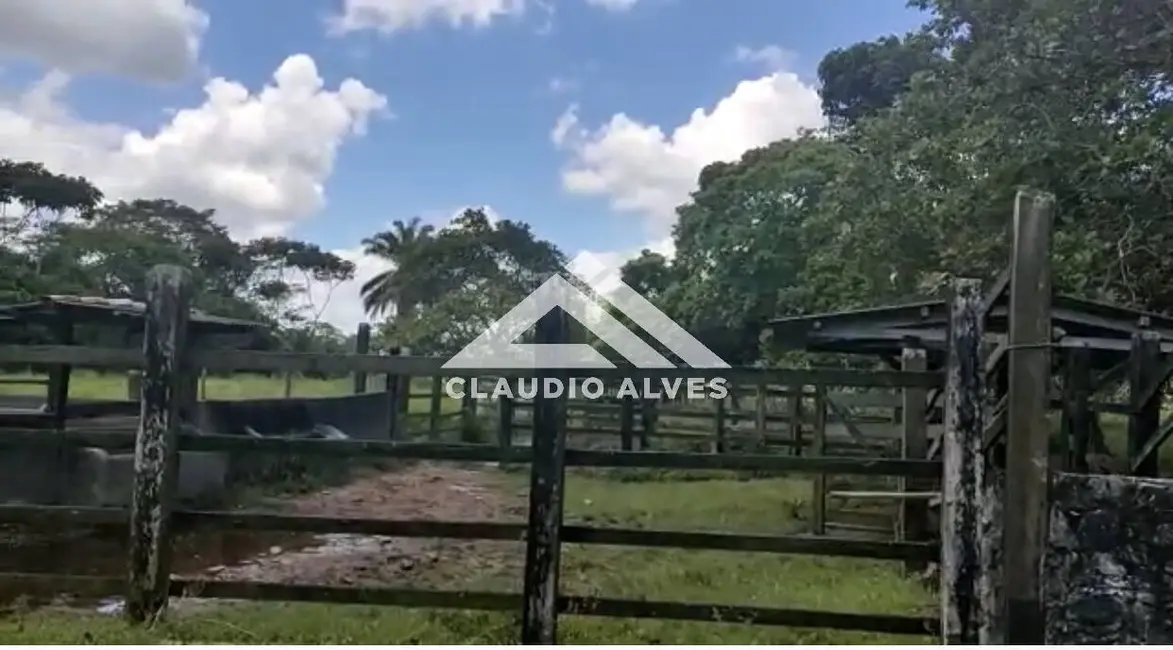 Foto 9 de Chácara com 3 quartos à venda, 352800m2 em Amelia Rodrigues - BA