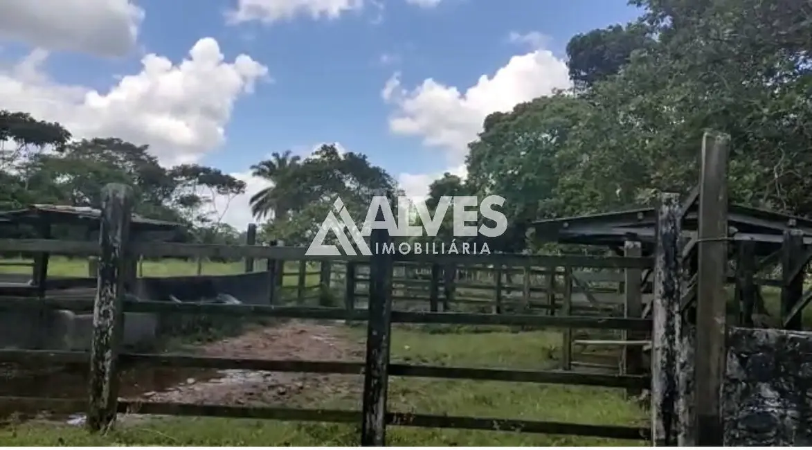 Foto 9 de Chácara com 3 quartos à venda, 352800m2 em Amelia Rodrigues - BA