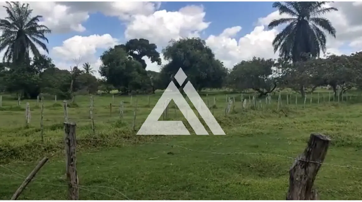 Foto 7 de Chácara com 3 quartos à venda, 352800m2 em Amelia Rodrigues - BA