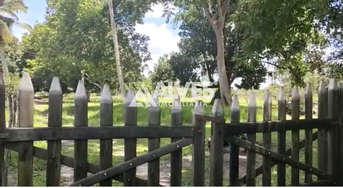 Foto 6 de Chácara com 3 quartos à venda, 352800m2 em Amelia Rodrigues - BA