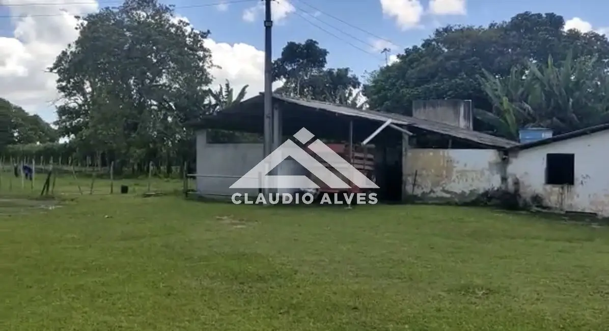 Foto 5 de Chácara com 3 quartos à venda, 352800m2 em Amelia Rodrigues - BA