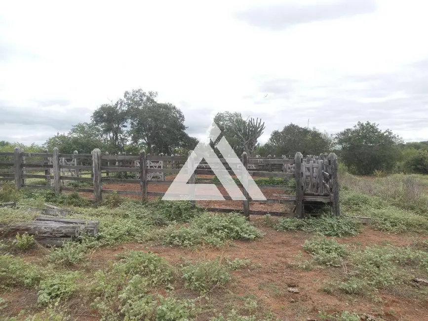 Foto 14 de Chácara à venda, 2121372m2 em Itaberaba - BA