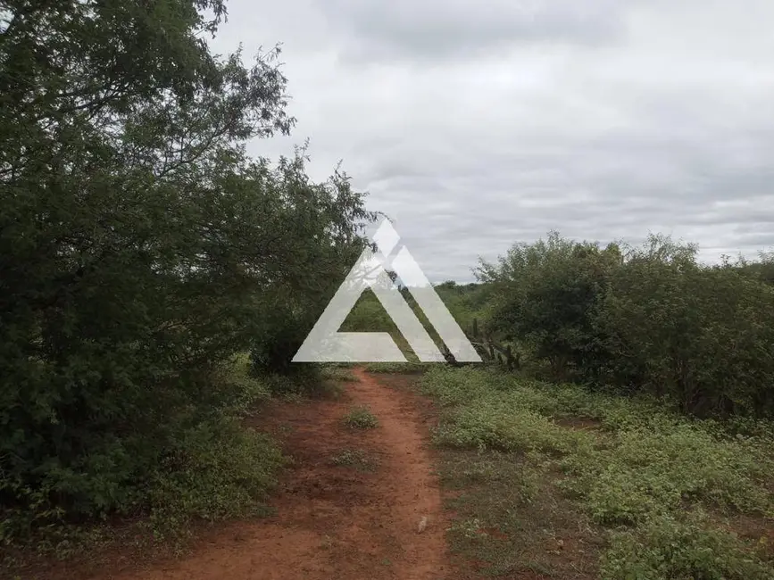 Foto 24 de Chácara à venda, 2121372m2 em Itaberaba - BA