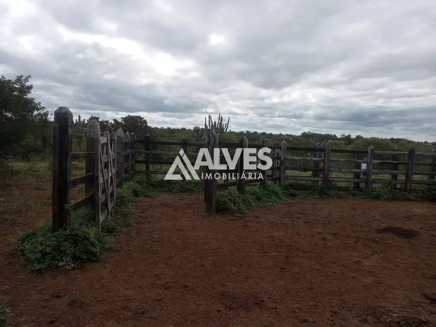 Foto 7 de Chácara à venda, 2121372m2 em Itaberaba - BA