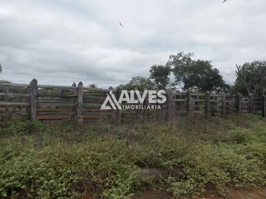 Foto 4 de Chácara à venda, 2121372m2 em Itaberaba - BA