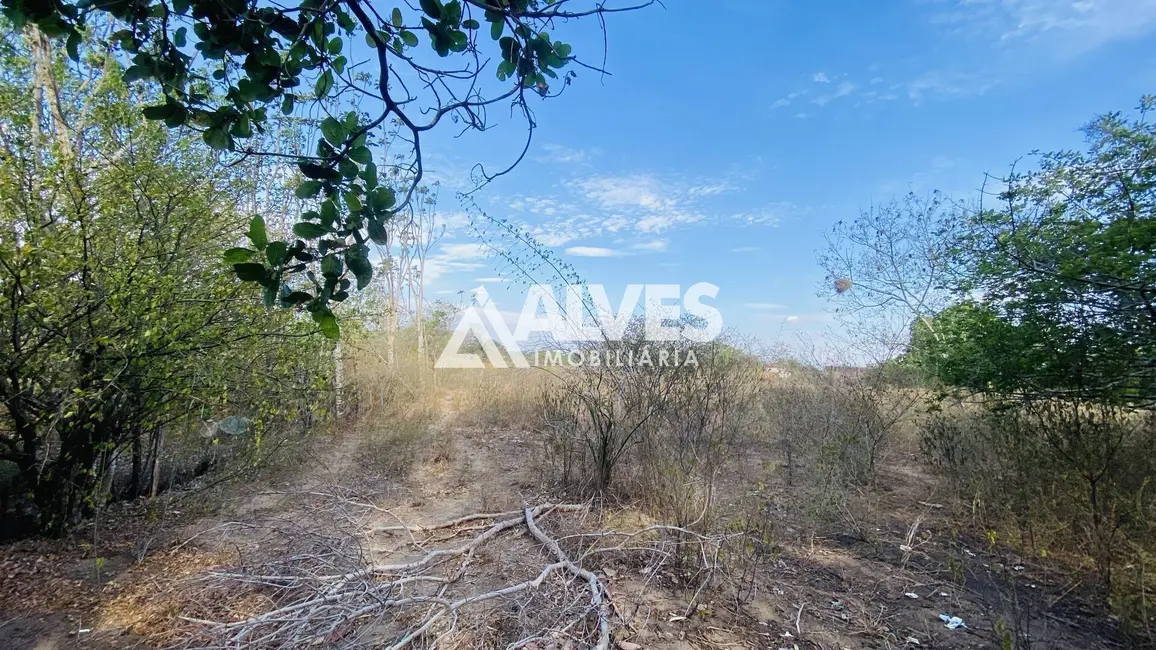 Terreno / Lote à venda e para alugar, 10800m2 em Papagaio, Feira De Santana - BA - imagem 3 Foto 3 de Terreno / Lote à venda e para alugar, 10800m2 em Papagaio, Feira De Santana - BA