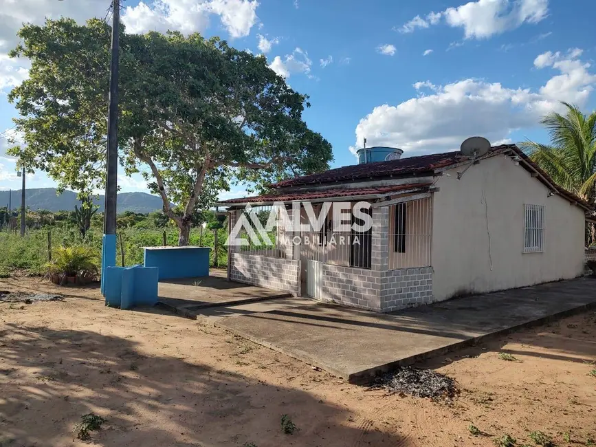 Chácara com 2 quartos à venda, 13000m2 em Feira De Santana - BA - imagem 3 Foto 3 de Chácara com 2 quartos à venda, 13000m2 em Feira De Santana - BA