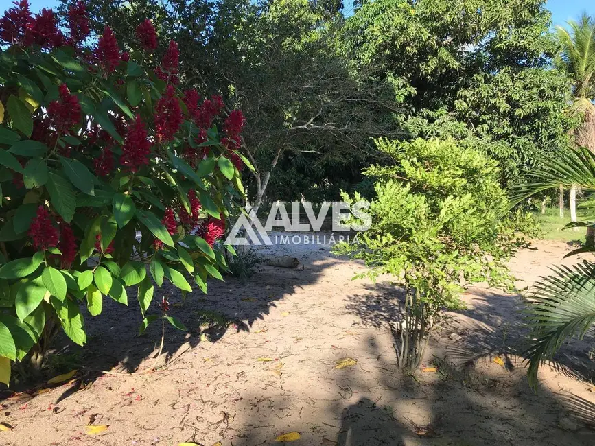 Chácara com 4 quartos à venda, 30492m2 em Feira De Santana - BA - imagem 4 Foto 4 de Chácara com 4 quartos à venda, 30492m2 em Feira De Santana - BA