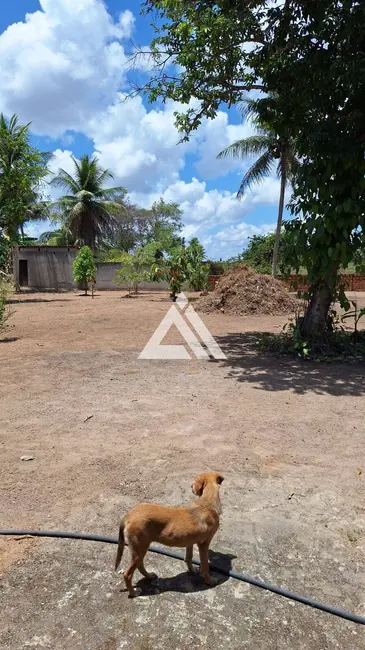 Foto 3 de Chácara com 4 quartos à venda, 30492m2 em Feira De Santana - BA