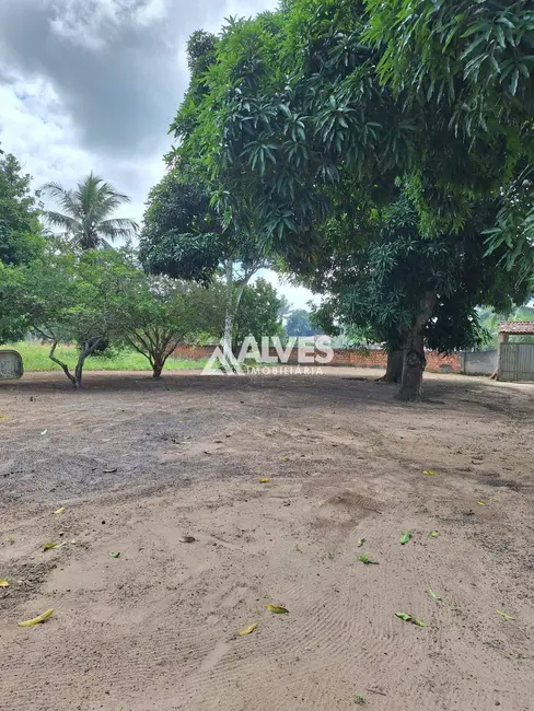 Chácara com 4 quartos à venda, 30492m2 em Feira De Santana - BA - imagem 8 Foto 8 de Chácara com 4 quartos à venda, 30492m2 em Feira De Santana - BA