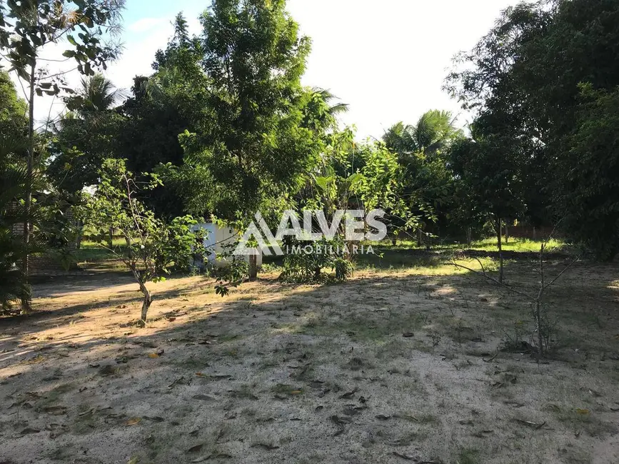 Chácara com 4 quartos à venda, 30492m2 em Feira De Santana - BA - imagem 6 Foto 6 de Chácara com 4 quartos à venda, 30492m2 em Feira De Santana - BA