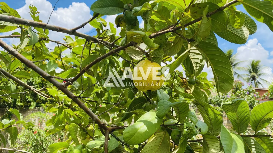 Chácara com 2 quartos à venda, 2178m2 em Feira De Santana - BA - imagem 6 Foto 6 de Chácara com 2 quartos à venda, 2178m2 em Feira De Santana - BA