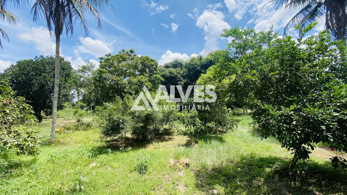 Chácara com 2 quartos à venda, 2178m2 em Feira De Santana - BA - imagem 5 Foto 5 de Chácara com 2 quartos à venda, 2178m2 em Feira De Santana - BA