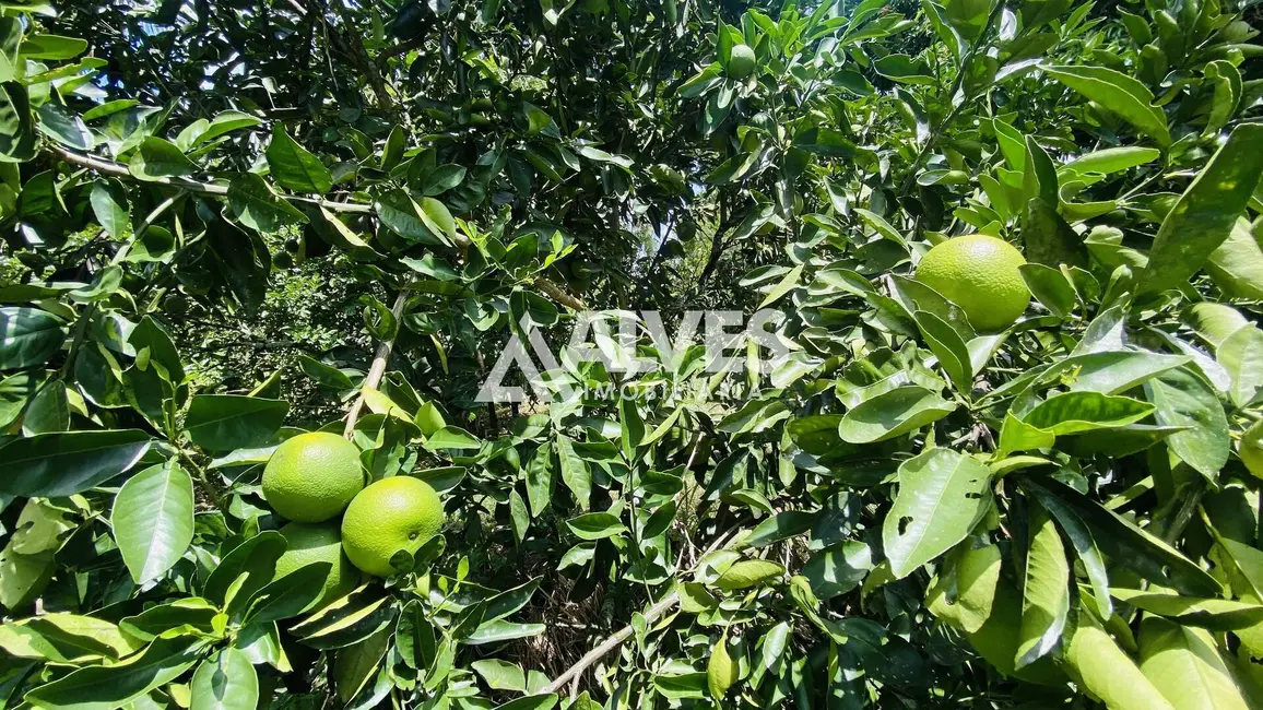 Chácara com 2 quartos à venda, 2178m2 em Feira De Santana - BA - imagem 9 Foto 9 de Chácara com 2 quartos à venda, 2178m2 em Feira De Santana - BA