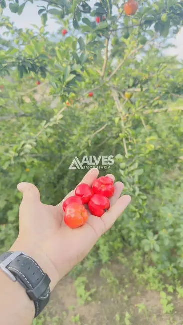 Foto 3 de Terreno / Lote à venda, 17000m2 em Mangabeira, Feira De Santana - BA