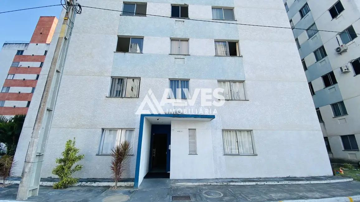 Foto 4 de Apartamento com 3 quartos para alugar, 60m2 em Mangabeira, Feira De Santana - BA