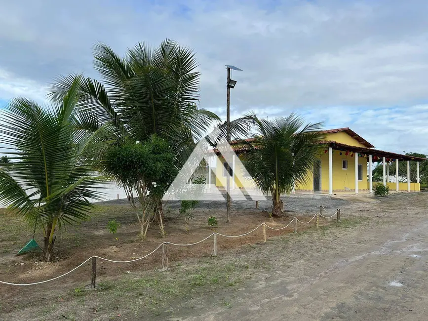 Foto 4 de Chácara com 4 quartos à venda, 16000m2 em Retiro, Coracao De Maria - BA