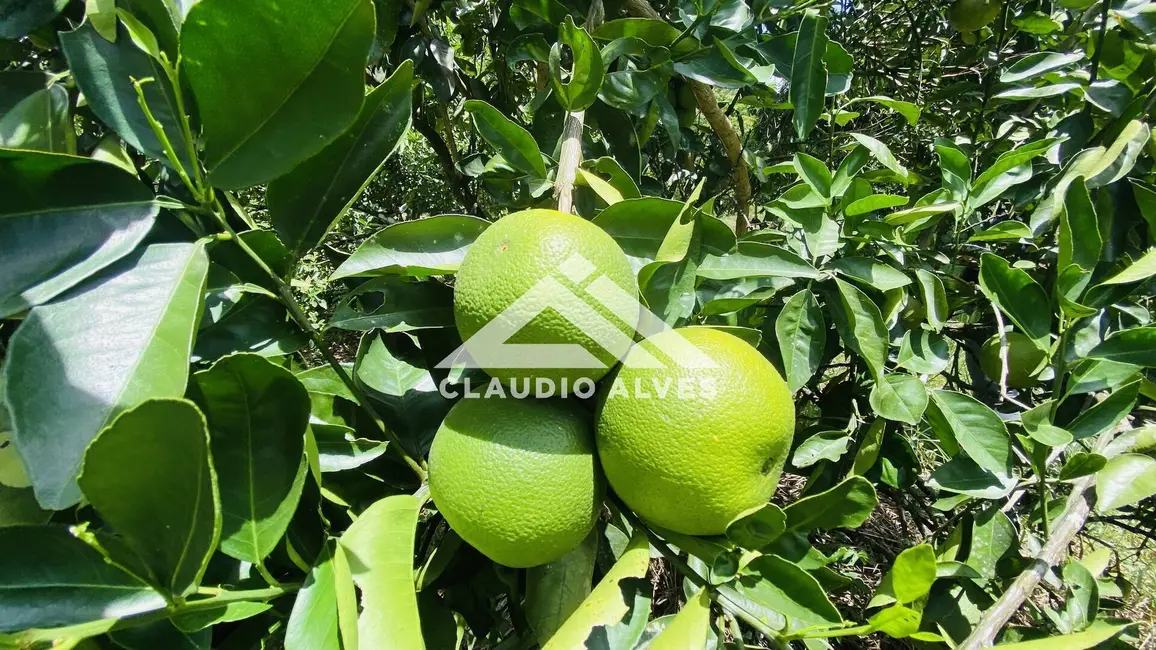 Foto 7 de Terreno / Lote à venda, 2178m2 em Feira De Santana - BA