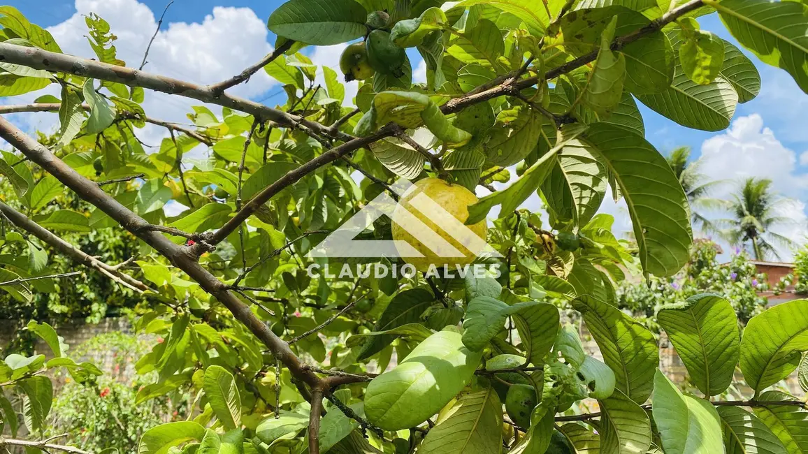 Foto 5 de Terreno / Lote à venda, 2178m2 em Feira De Santana - BA