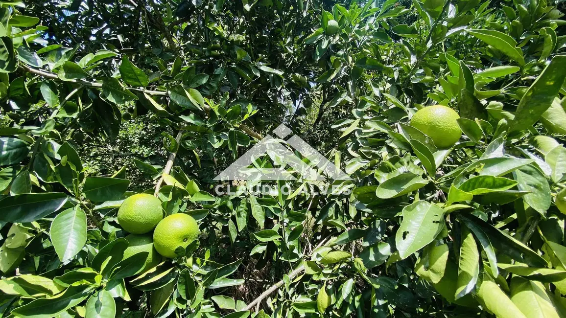 Foto 8 de Terreno / Lote à venda, 2178m2 em Feira De Santana - BA