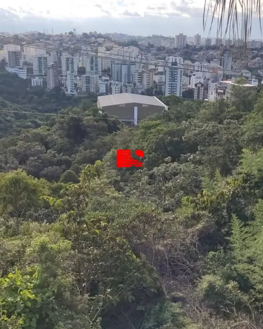 Foto 5 de Apartamento com 3 quartos à venda, 75m2 em Buritis, Belo Horizonte - MG