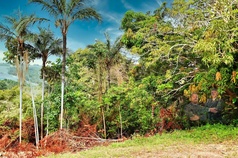 Foto 8 de Terreno / Lote à venda, 48000m2 em Flores, Manaus - AM