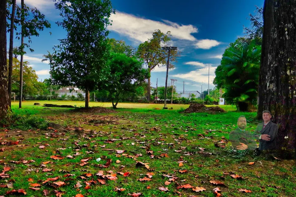 Foto 4 de Terreno / Lote à venda, 48000m2 em Flores, Manaus - AM