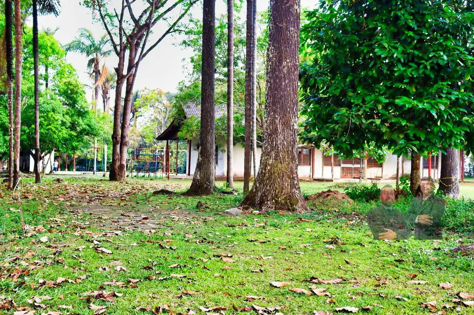 Foto 9 de Terreno / Lote à venda, 48000m2 em Flores, Manaus - AM