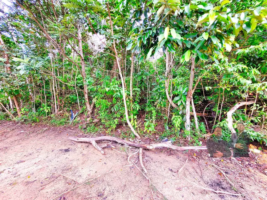 Foto 3 de Lote de Condomínio à venda, 450m2 em Ponta Negra, Manaus - AM