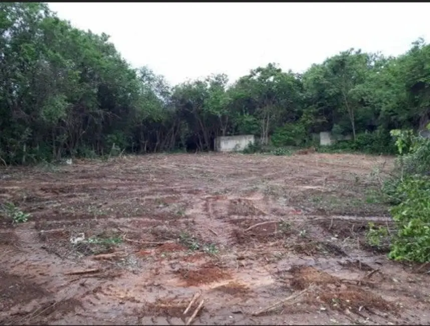 Foto 7 de Terreno / Lote à venda, 17500m2 em Distrito Industrial João de Almeida, Ribeirao Das Neves - MG
