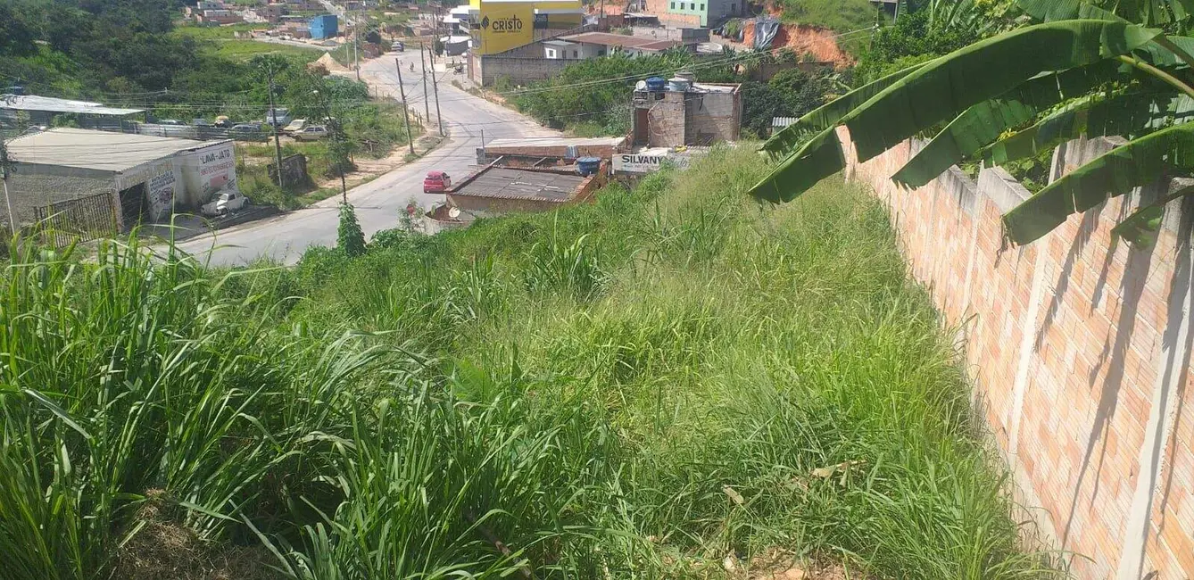 Terreno / Lote à venda, 530m2 em Veneza, Ribeirao Das Neves - MG - imagem 5 Foto 5 de Terreno / Lote à venda, 530m2 em Veneza, Ribeirao Das Neves - MG