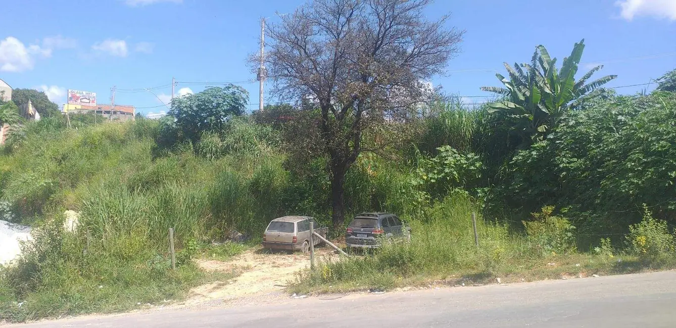 Terreno / Lote à venda, 530m2 em Veneza, Ribeirao Das Neves - MG - imagem 8 Foto 8 de Terreno / Lote à venda, 530m2 em Veneza, Ribeirao Das Neves - MG