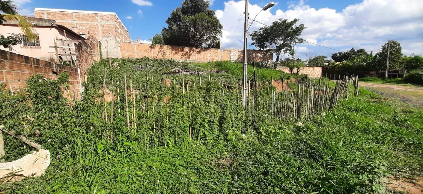 Terreno / Lote à venda, 411m2 em Florença, Ribeirao Das Neves - MG - imagem 5 Foto 5 de Terreno / Lote à venda, 411m2 em Florença, Ribeirao Das Neves - MG