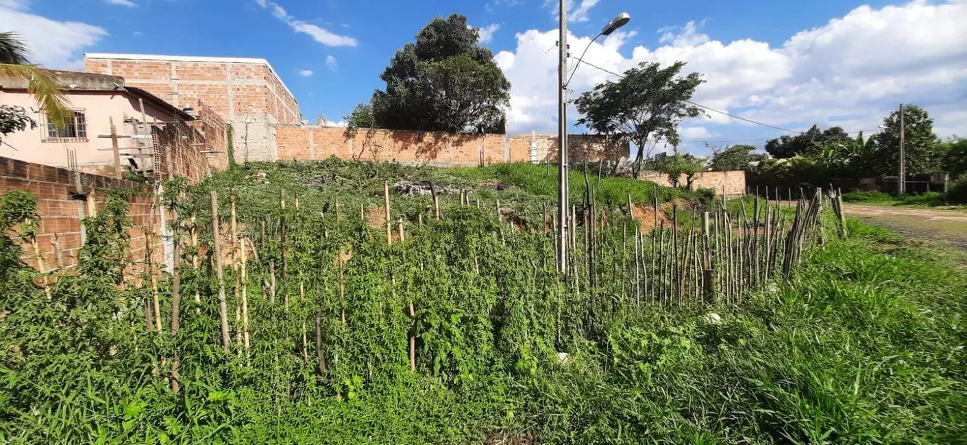 Terreno / Lote à venda, 411m2 em Florença, Ribeirao Das Neves - MG - imagem 4 Foto 4 de Terreno / Lote à venda, 411m2 em Florença, Ribeirao Das Neves - MG