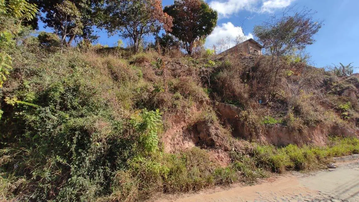 Foto 2 de Terreno / Lote à venda, 360m2 em Ribeirao Das Neves - MG