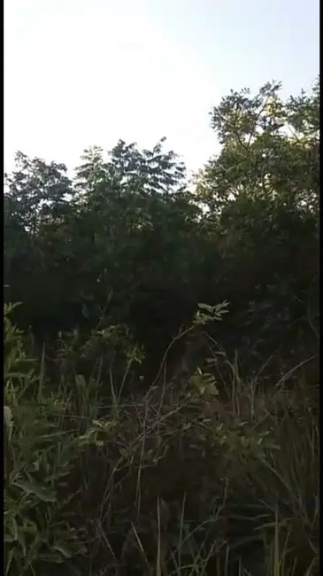 Foto 8 de Terreno / Lote à venda, 66480m2 em Jequitiba - MG