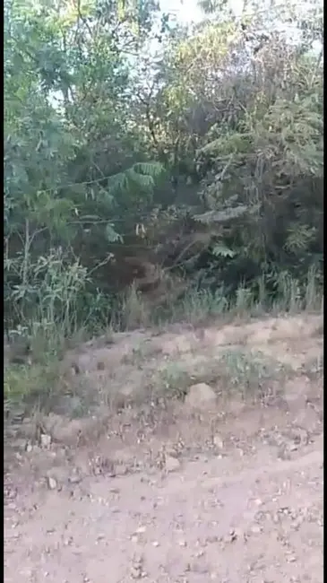 Foto 5 de Terreno / Lote à venda, 66480m2 em Jequitiba - MG