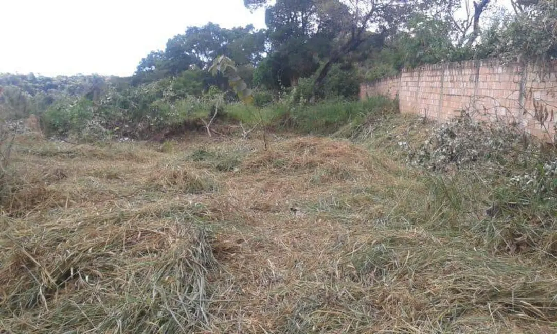 Terreno / Lote à venda, 1200m2 em Vale das Acácias, Ribeirao Das Neves - MG - imagem 9 Foto 9 de Terreno / Lote à venda, 1200m2 em Vale das Acácias, Ribeirao Das Neves - MG