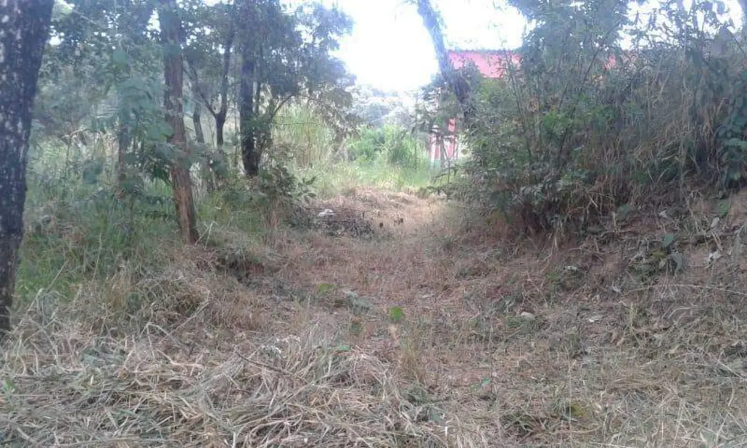 Terreno / Lote à venda, 1200m2 em Vale das Acácias, Ribeirao Das Neves - MG - imagem 5 Foto 5 de Terreno / Lote à venda, 1200m2 em Vale das Acácias, Ribeirao Das Neves - MG