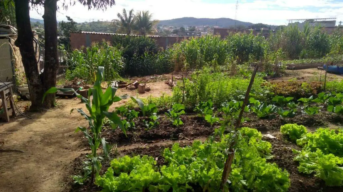 Terreno / Lote à venda, 360m2 em Santinho, Ribeirao Das Neves - MG - imagem 5 Foto 5 de Terreno / Lote à venda, 360m2 em Santinho, Ribeirao Das Neves - MG