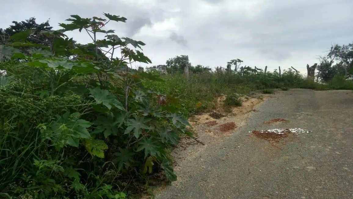 Terreno / Lote à venda, 413m2 em Belvedere, Ribeirao Das Neves - MG - imagem 3 Foto 3 de Terreno / Lote à venda, 413m2 em Belvedere, Ribeirao Das Neves - MG